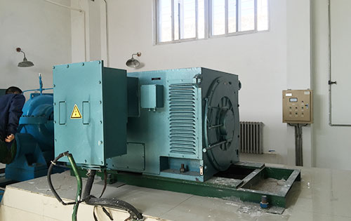 萨尔图某水电站工程主水泵使用我公司高压电机